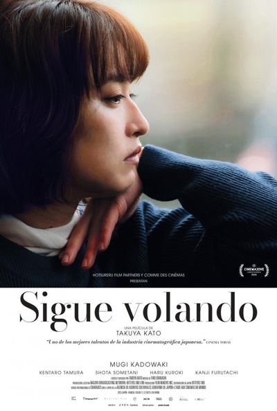 Póster de Sigue volando