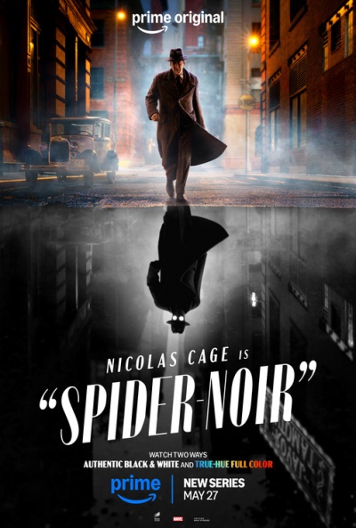 Póster de Spider-Noir