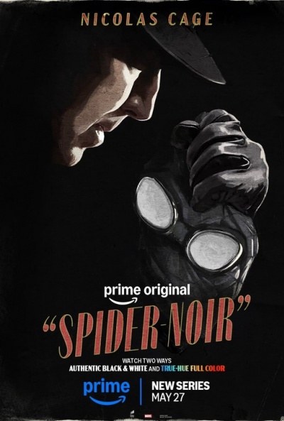 Póster de Spider-Noir