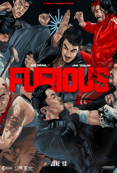 Póster de The Furious