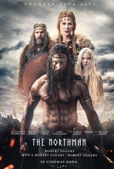 Póster de El hombre del norte