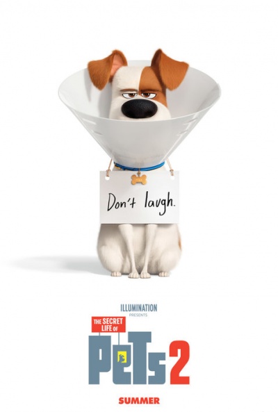 Póster de Mascotas 2