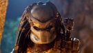 Avatar de Predator33