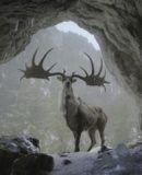 imagen de noticia relacionada