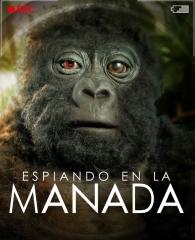 Imagen destacada