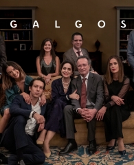 imagen de destacado