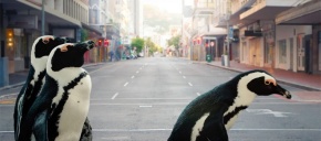 imagen de noticia relacionada