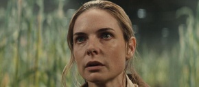 imagen de noticia relacionada