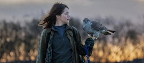 imagen de noticia relacionada