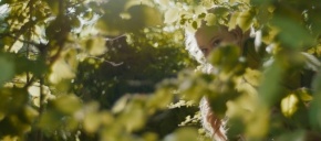 imagen de noticia relacionada