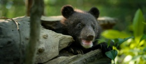 imagen de noticia relacionada