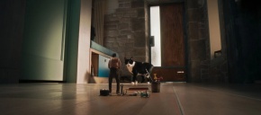 imagen de noticia relacionada