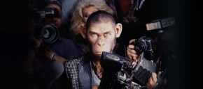 imagen de noticia relacionada