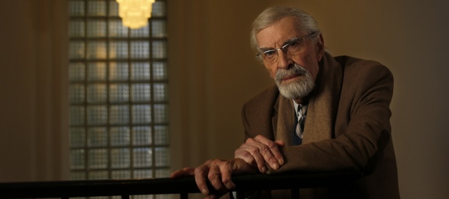 Martin Landau fallece a los 89 años de edad 94319