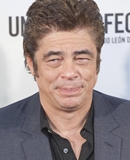 Benicio del Toro