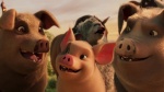 Foto de Animal Farm
