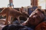 Imagen de Kangaroo: Una aventura en Australia Foto de Kangaroo: Una aventura en Australia