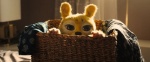 Imagen de Marsupilami Foto de Marsupilami