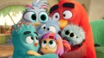 Imagen de Angry Birds 3: La película Foto de Angry Birds 3: La película
