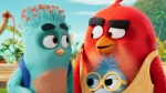 Foto de Angry Birds 3: La película