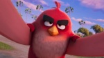 Foto de Angry Birds 3: La película