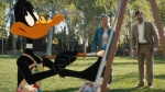 Foto de Coyote vs. Acme