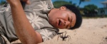 Imagen de Spider Island Foto de Spider Island