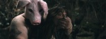 Foto de Ever After