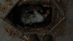 Imagen de Nightborn Foto de Nightborn