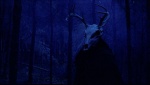 Foto de The Wild Hunt