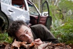 Foto de Wrecked