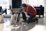 Foto de Los pingüinos del Sr. Poper