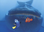 Foto de Buscando a Nemo