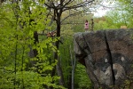 Foto de Moonrise Kingdom