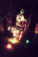Foto de Silent Night