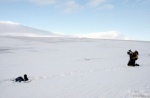 Foto de The Last Winter
