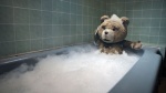Foto de Ted