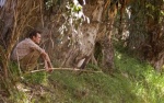 Foto de The Master