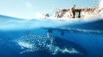 Foto de Kon-Tiki