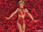 Foto de American Beauty