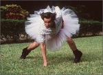 Foto de Ace Ventura, un detective diferente