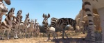 Foto de Khumba