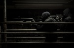 Foto de The Informant