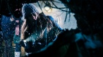 Foto de Harbinger Down