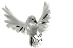Foto de Bird People