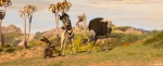 Foto de Khumba