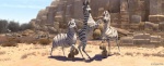 Foto de Khumba