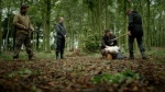 Foto de The Abc's of Death 2