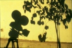 Foto de El sol del membrillo