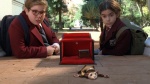 Foto de Pérez, el ratoncito de tus sueños